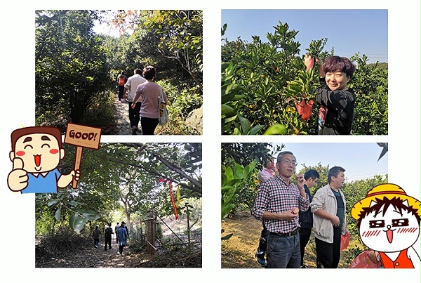 开云app官方入口团队徒步穿越之旅3