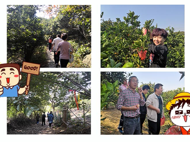 开云app莱斯特城赞助商名单团队<i style='color:red'>徒步</i>穿越之旅：重走军嶂古道，感受千年古道文化余温。