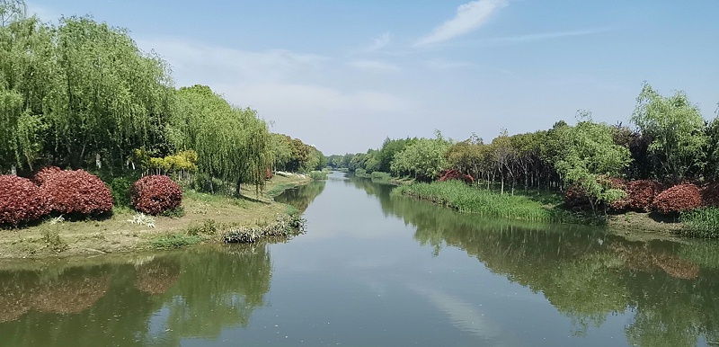 开云app莱斯特城赞助商名单组织全体员工开展春季踏青活动